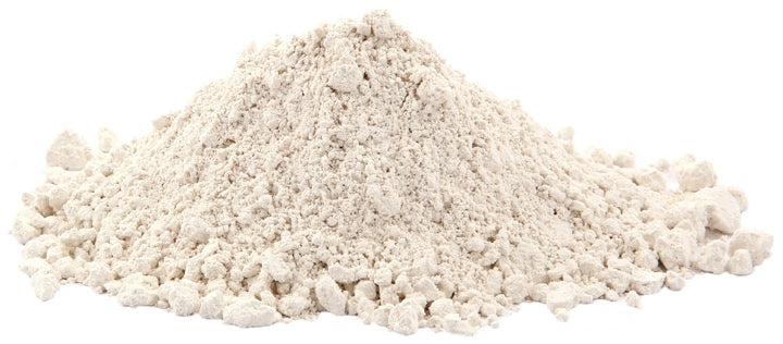 Fungus Gnats Driving You Crazy? Diatomaceous Earth will cure what ales you!