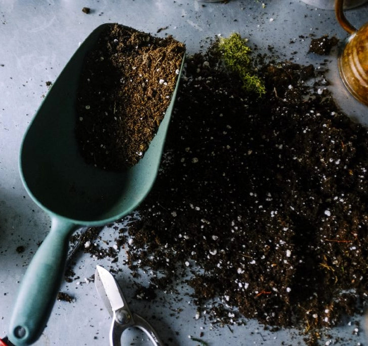 Understanding and Benefiting from Soil Sterilization for Plant Growth