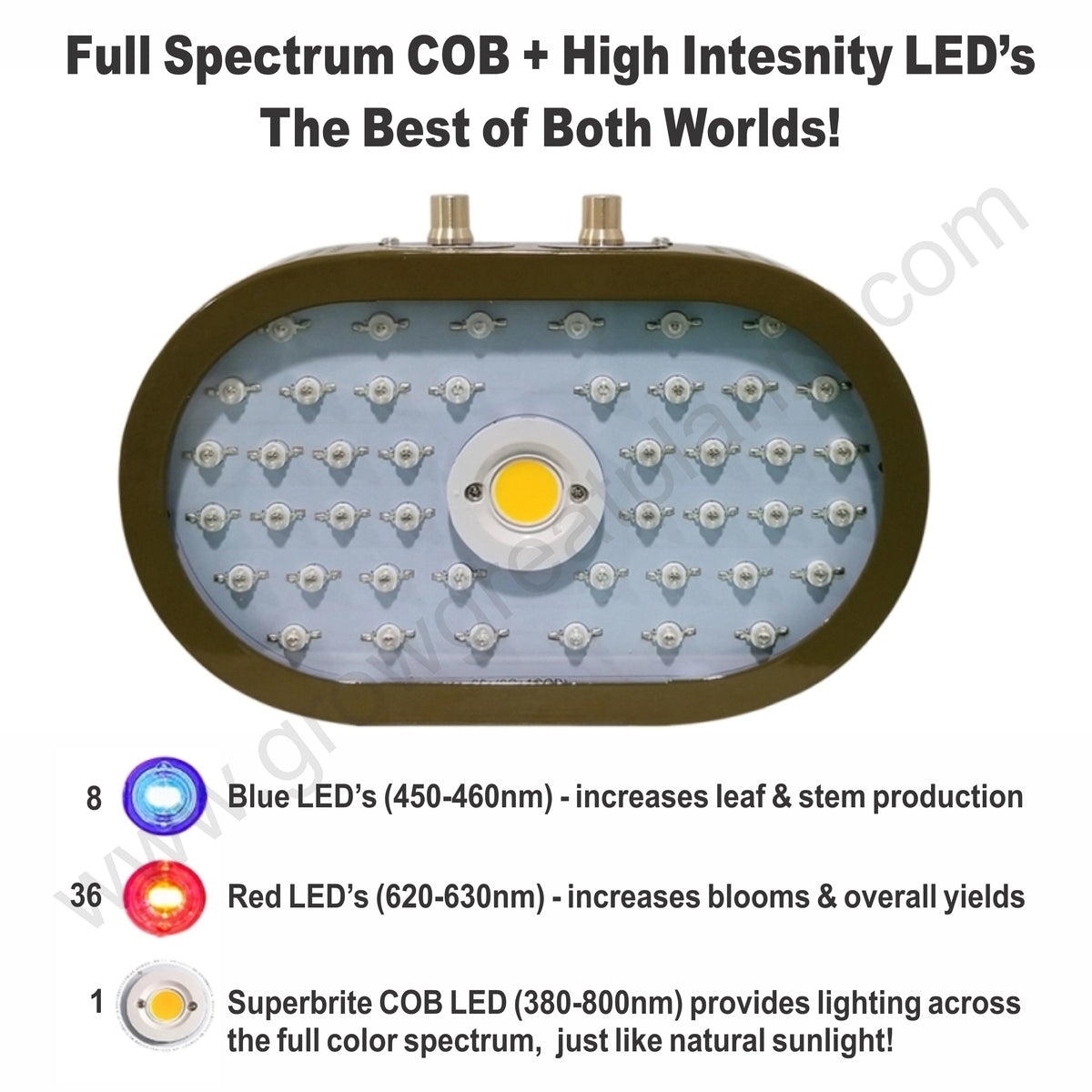 1100w COB LED Lights Layout