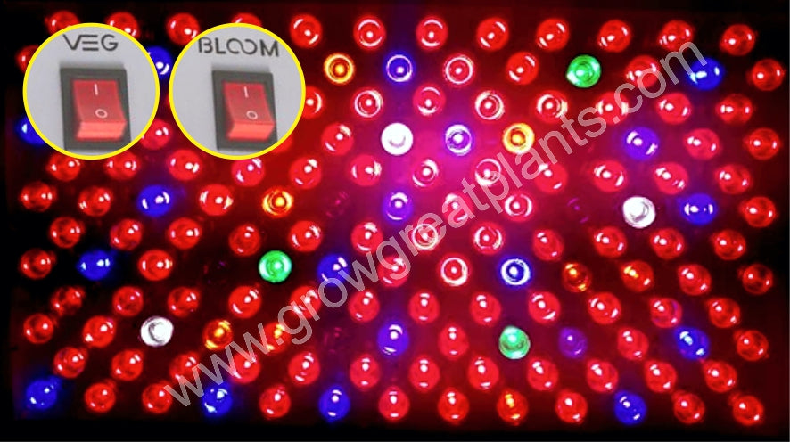 VEG and BLOOM Light