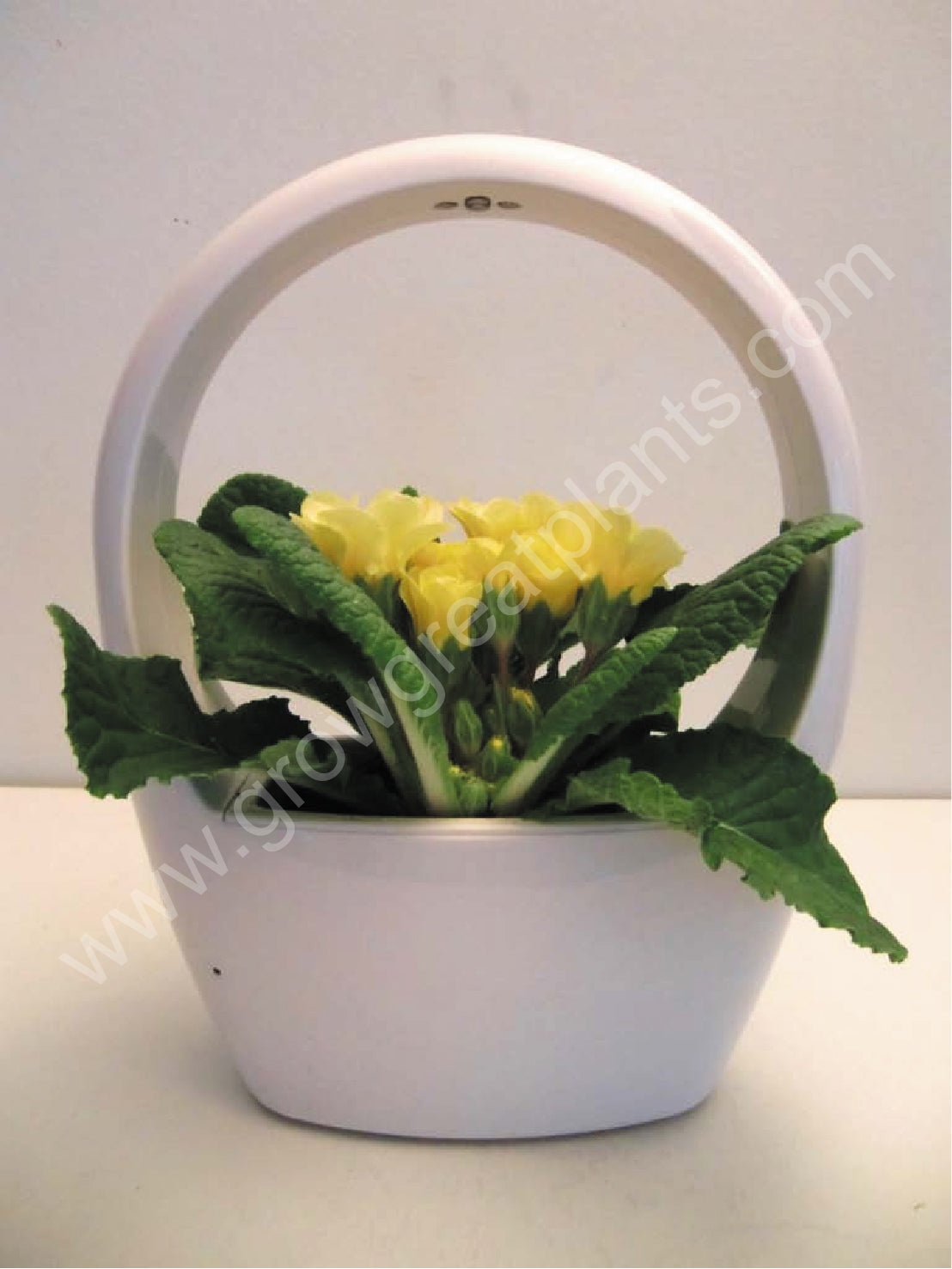 Succulents Plant Pot with Built-In LED Grow Lights