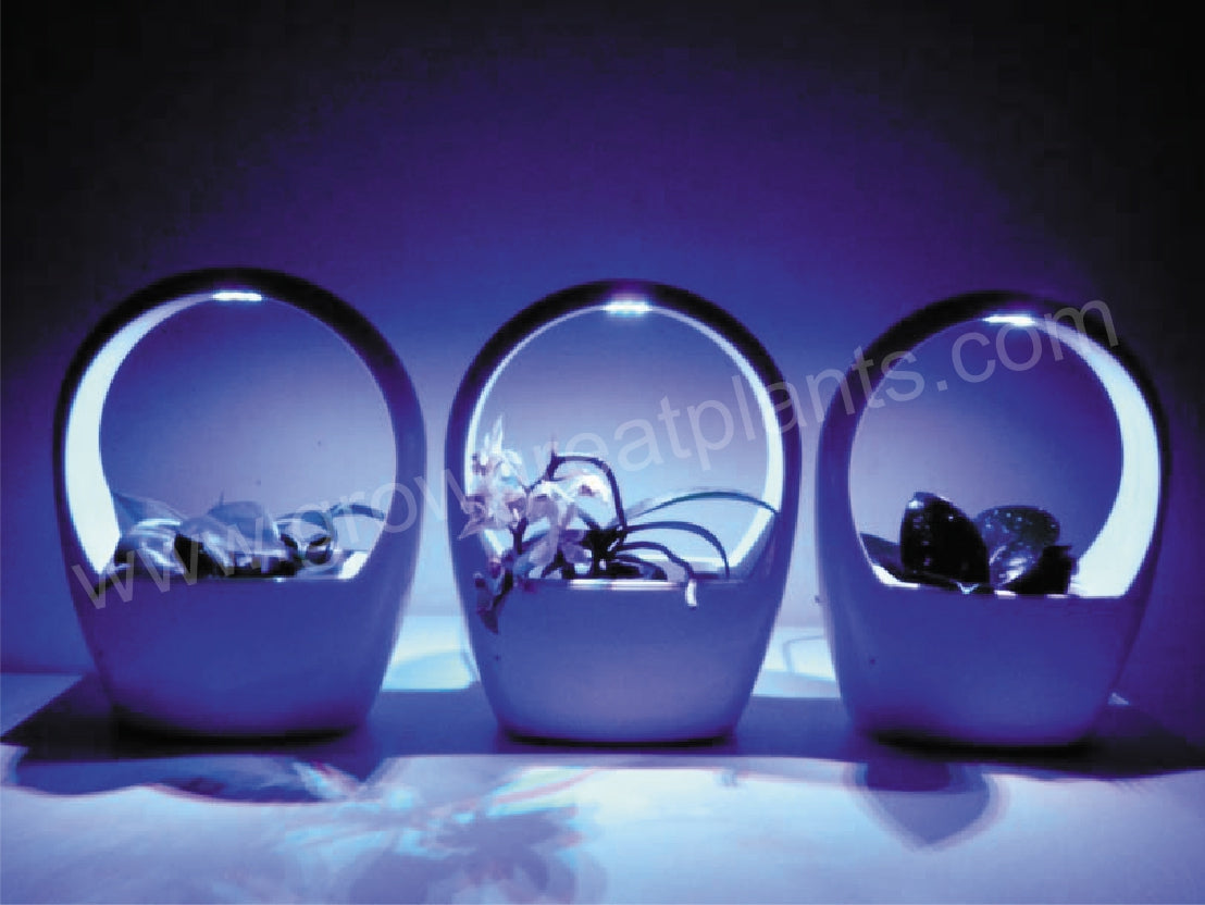 Succulents Plant Pot with Built-In LED Grow Lights