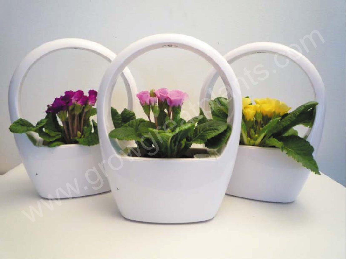 Succulents Plant Pot with Built-In LED Grow Lights