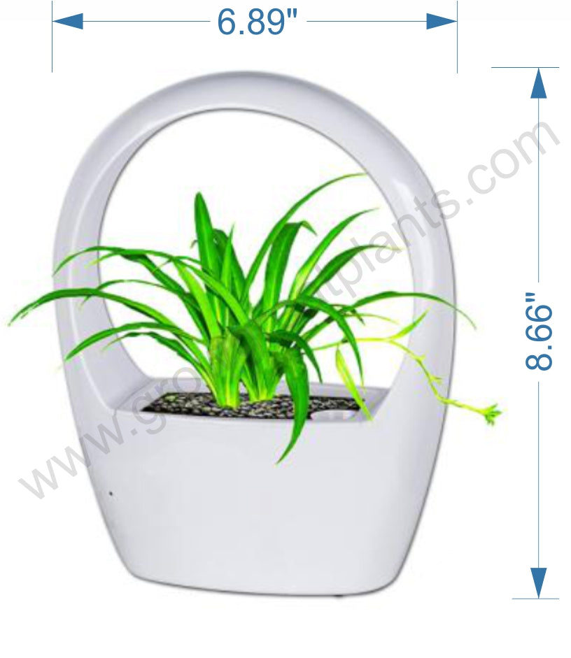 LED Grow Pot - Dimensions