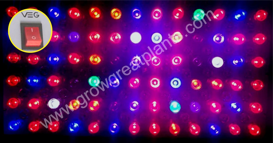 VEG Light