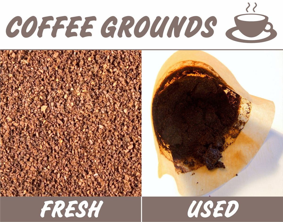 Coffee Grounds in Your Garden? Feed your plants, save the environment!