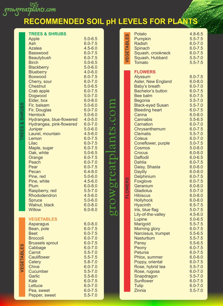 Soil pH - A reference guide to pH levels for plants