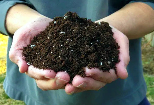 Choosing the Right Soil Mix for Your Indoor Plants