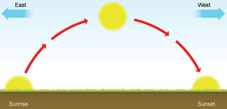 Plants Need Sleep Too! - Plants Have a Circadian Clock