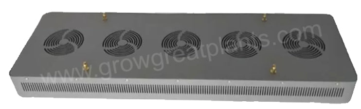 products/P900_Back_Fans.jpg