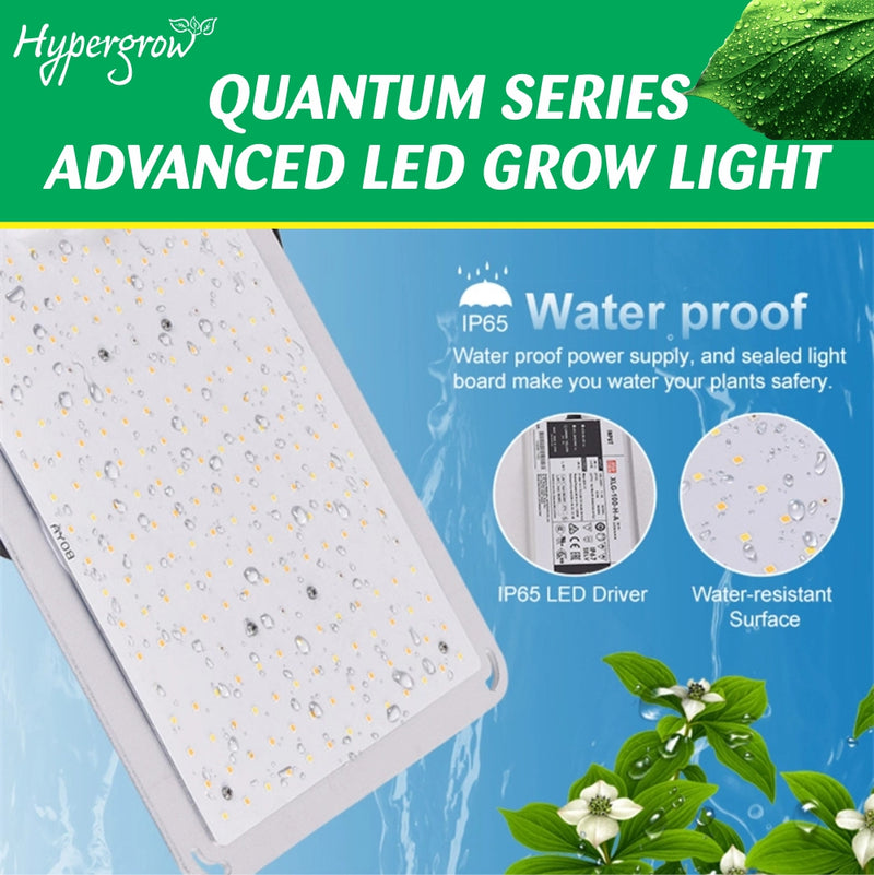 1000W Quantum Series Advanced LED Light - Fanless, Energy GrowGreatPlants.com